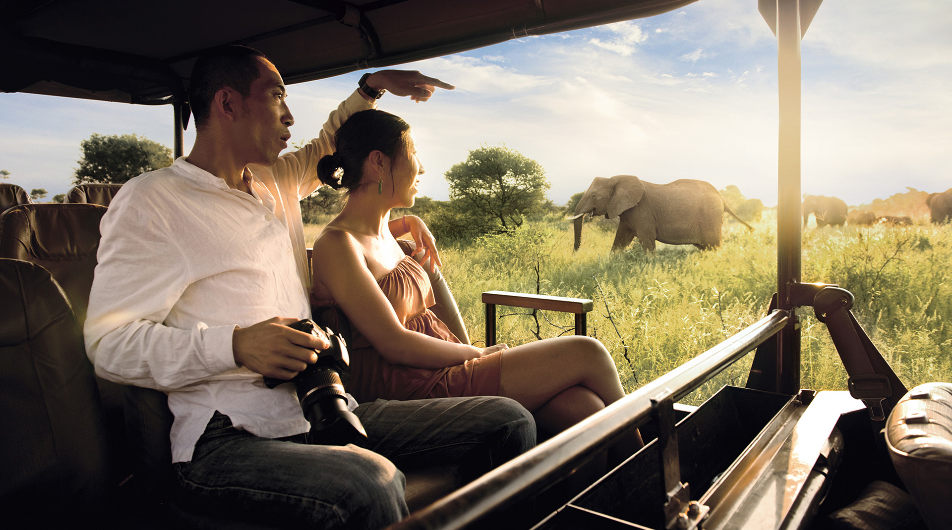 Best Tanzania wildlife safari 2026, 2027 & 2028 