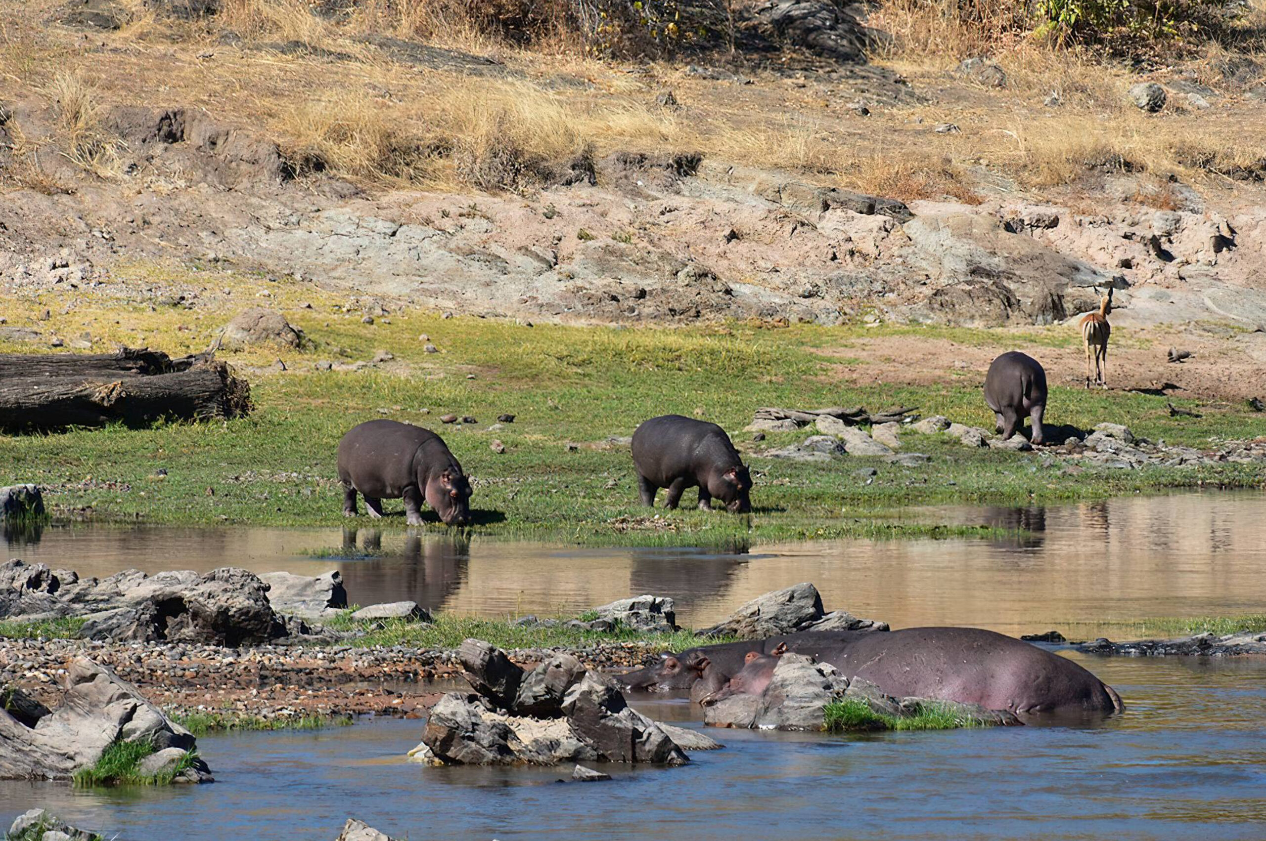 Southern Ruaha -