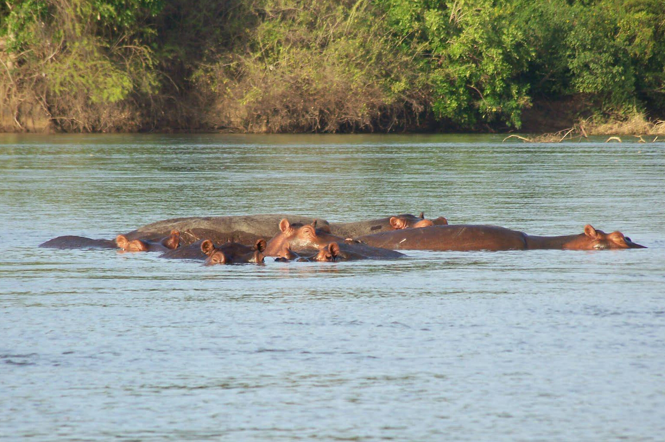 Southern Ruaha - 10