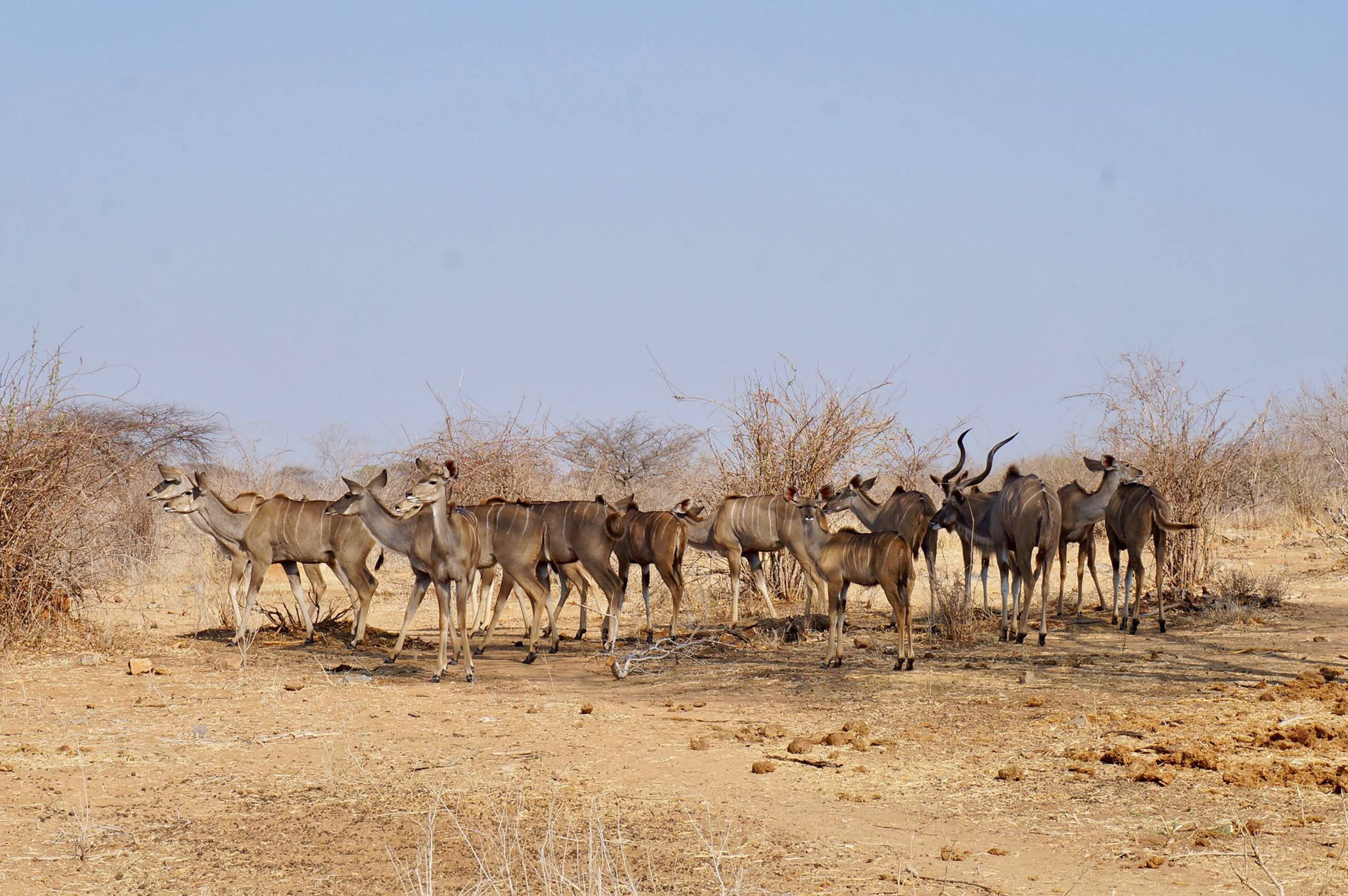 Southern Ruaha - 3