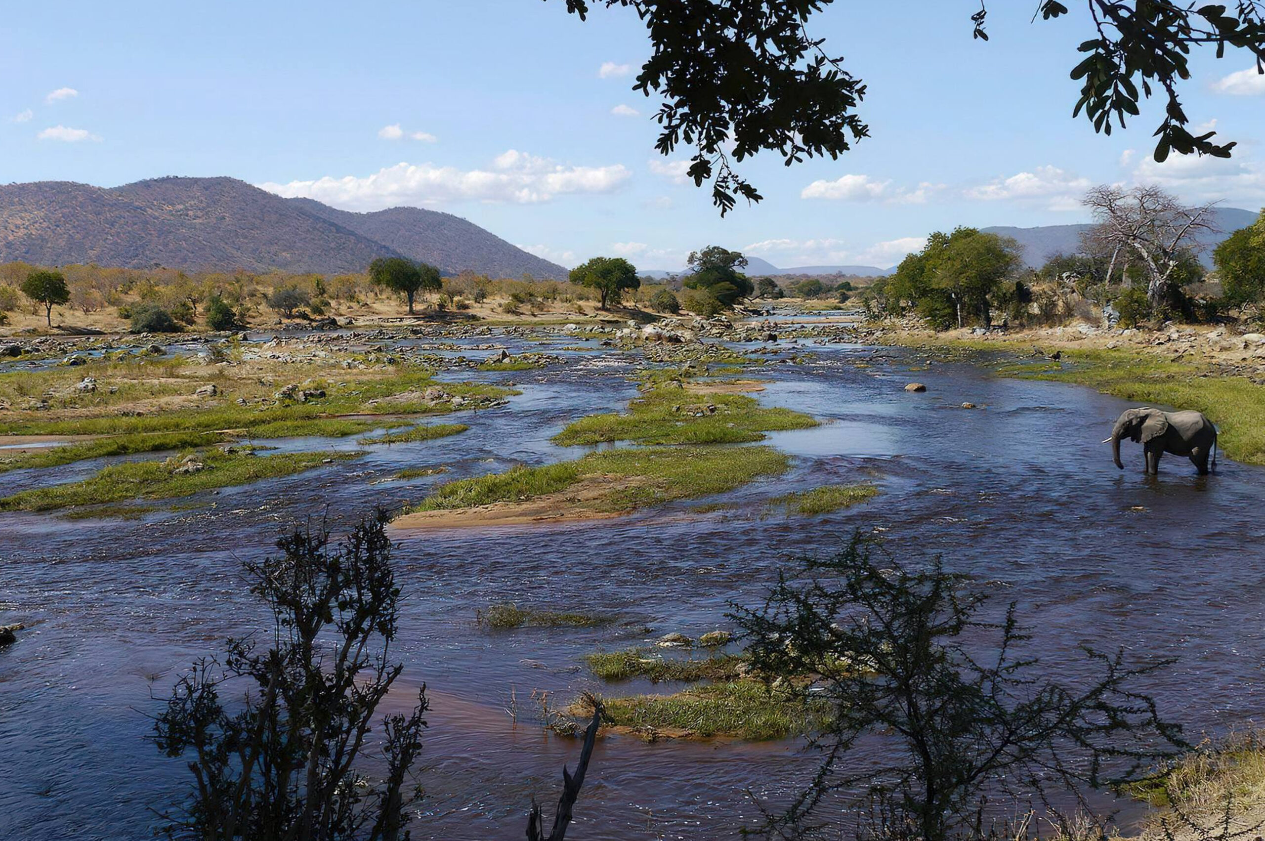 Southern Ruaha - 4