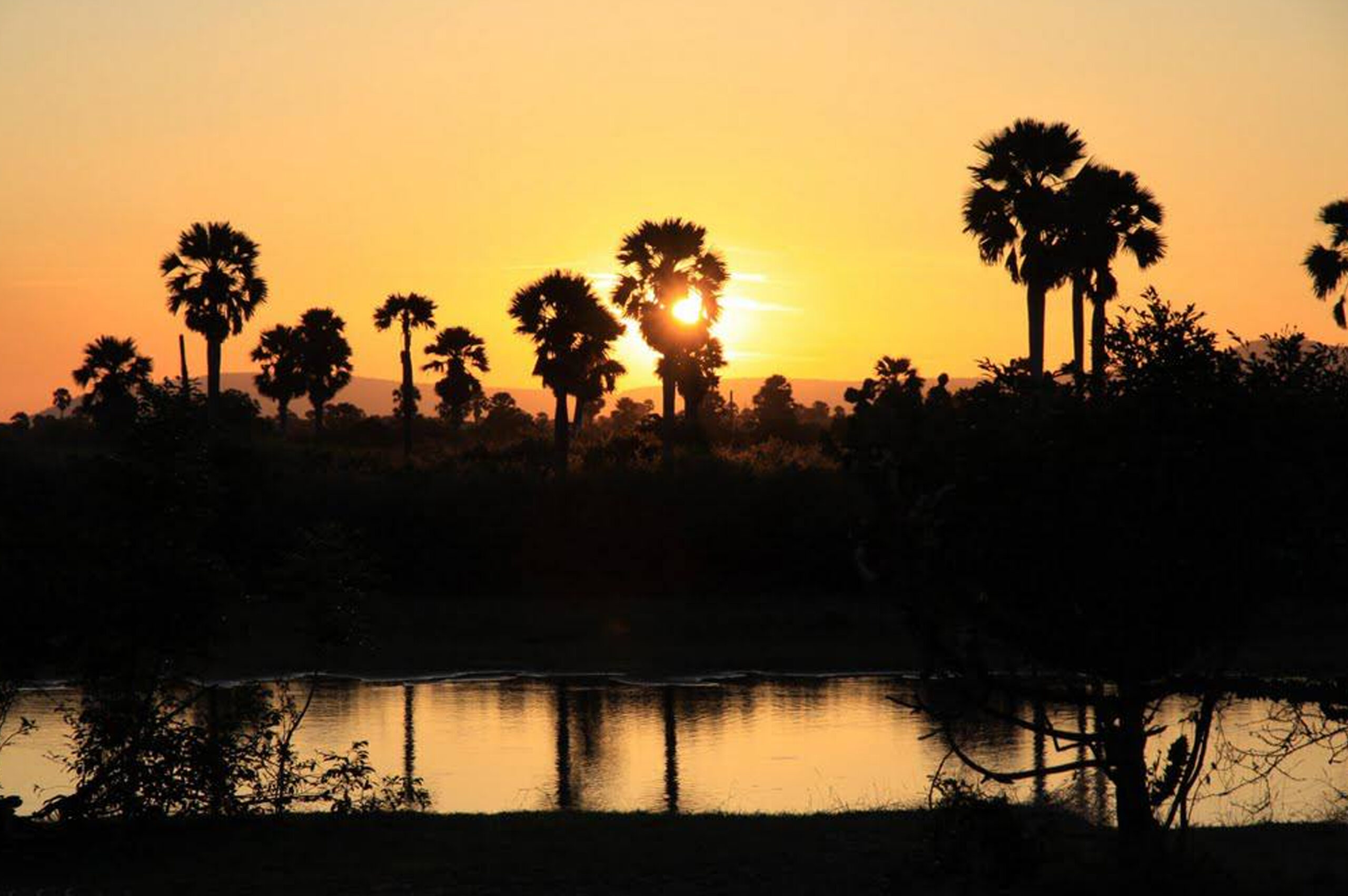 Southern Ruaha - 6