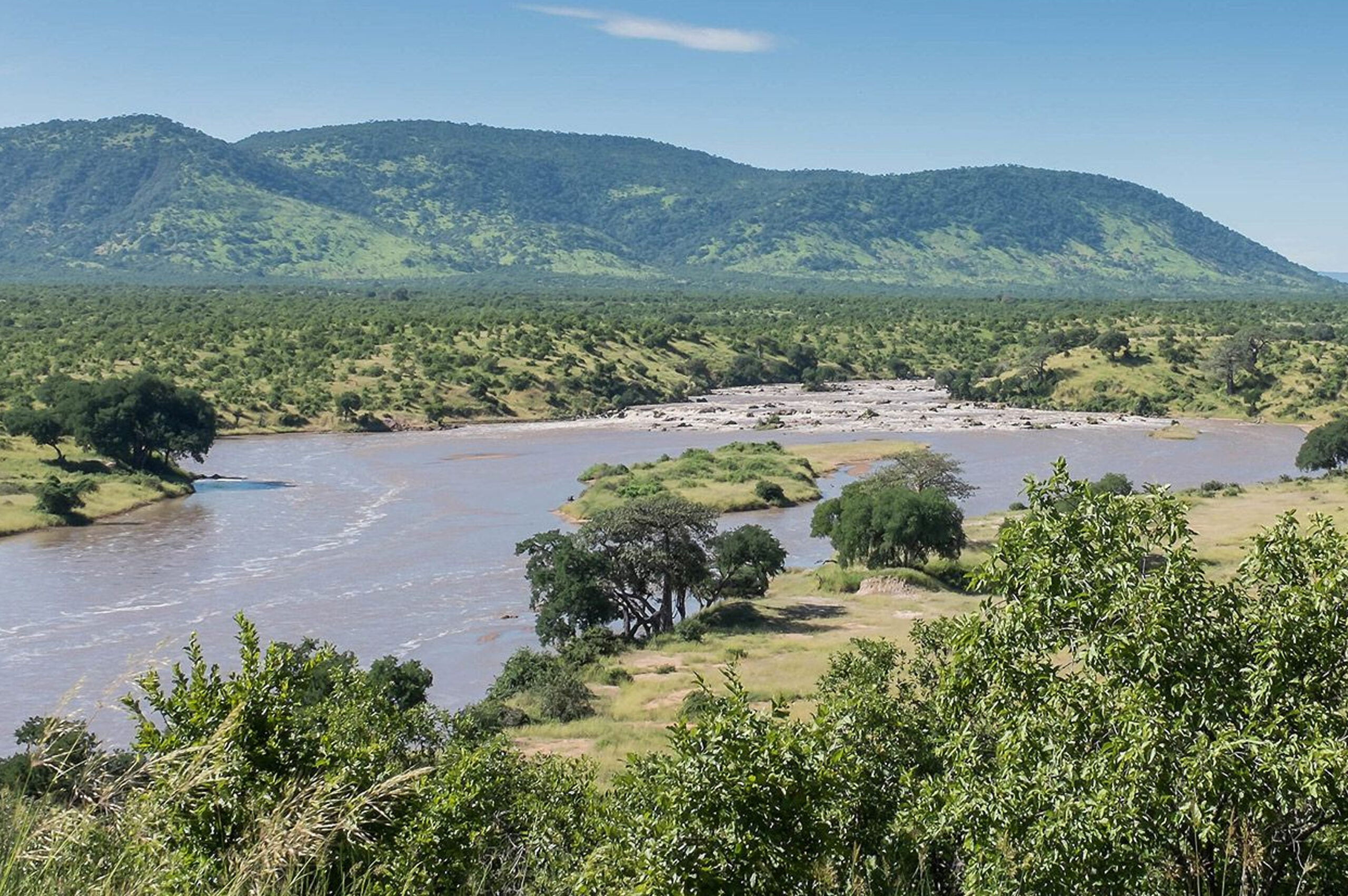 Southern Ruaha